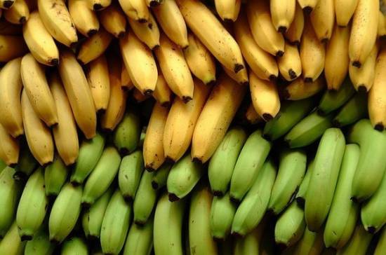 10 фактов которые вы не знали о бананах