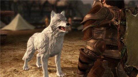 Волк - лучший друг человека для Dragon Age: Origins