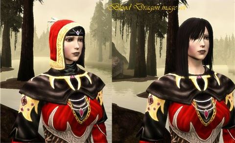 DragonBloodMage для Dragon Age: Origins
