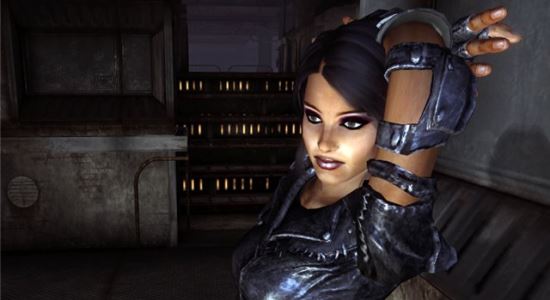 Косметика для Fallout: New Vegas