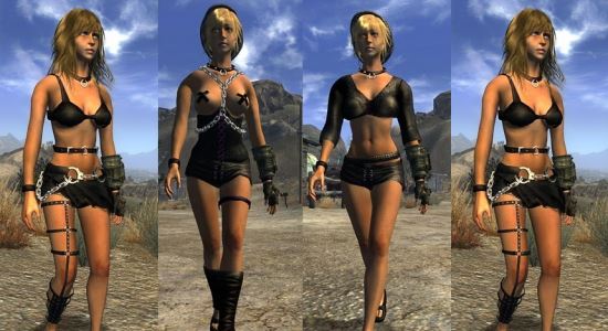 Type3 Body and Armor replacer для Fallout: New Vegas