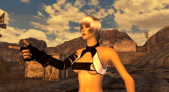 TYPE3 Persona and Secret outfits для Fallout: New Vegas