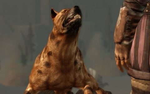 Extra Dog Slot / Дополнительный слот для собаки для Dragon Age: Origins
