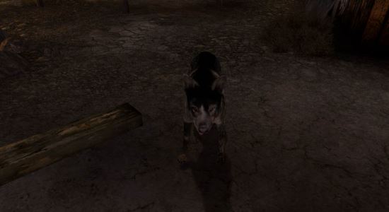Псина для Fallout: New Vegas