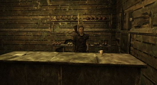 Торговцы для Fallout: New Vegas