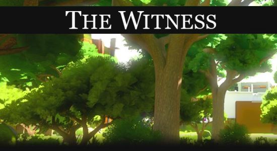 Сохранение для The Witness (100%)