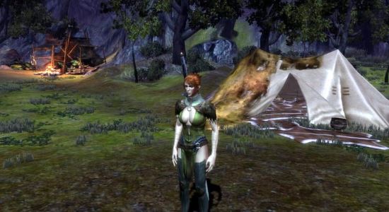 BetterCampDwarf для Dragon Age: Origins