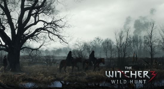 NoDVD для The Witcher 3: Wild Hunt v 1.0