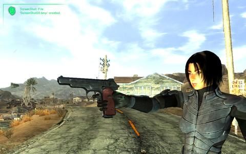 АПС для Fallout: New Vegas