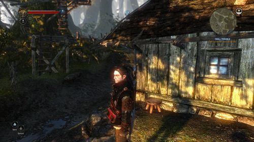 The black haired wolf для Witcher 2