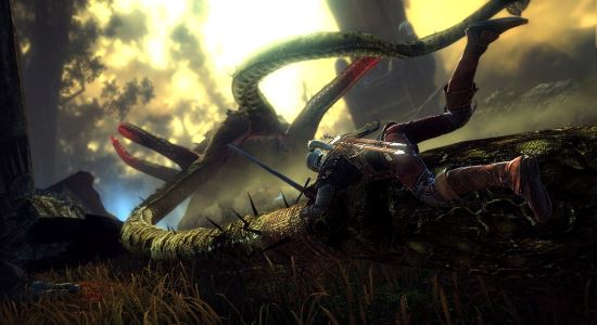 Шерсть Оборотня для Witcher