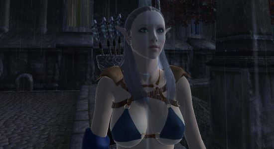 Cm Partners companion для The Elder Scrolls IV: Oblivion