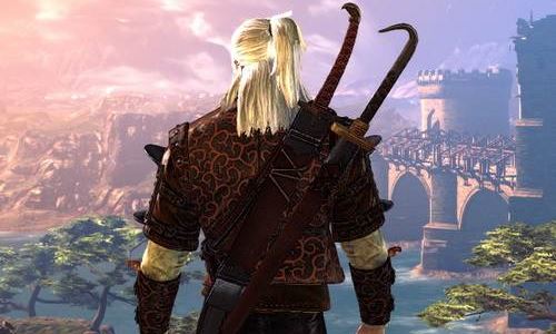 Жакет Кобры для Witcher 2