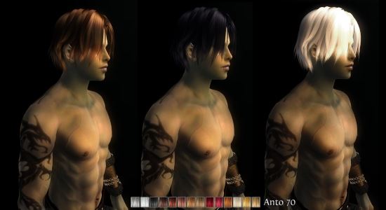 Apachii Wigs for Males and Females для TES IV: Oblivion