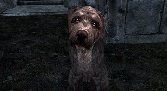 Бессмертные собаки для TES V: Skyrim