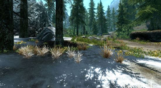 No_Tint_and_Desaturation для TES V: Skyrim