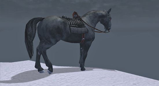 Dall's Black Horse для TES IV: Oblivion