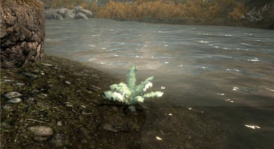 Заткнись боярышник для TES V: Skyrim