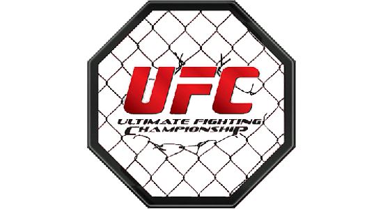 NoDVD для UFC: Ultimate Fighting Championship v 1.0