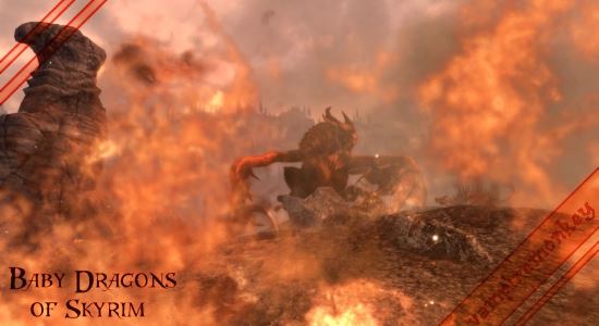 Дракончики / Baby Dragons для TES V: Skyrim