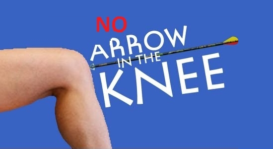 Фикс назойливых стрел / No arrow in my body для TES V: Skyrim