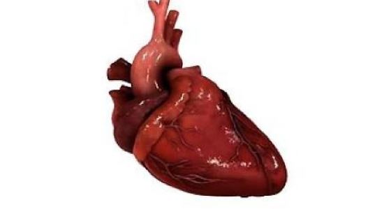More Hearts and Flesh для TES V: Skyrim