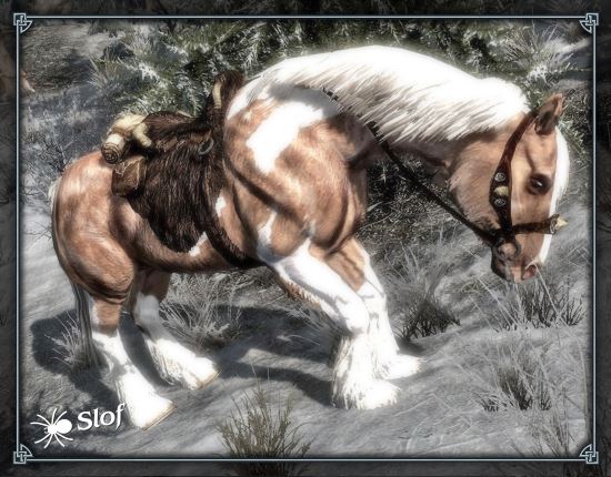 Slofs Horses для TES V: Skyrim