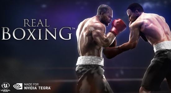 NoDVD для Real Boxing v 1.0