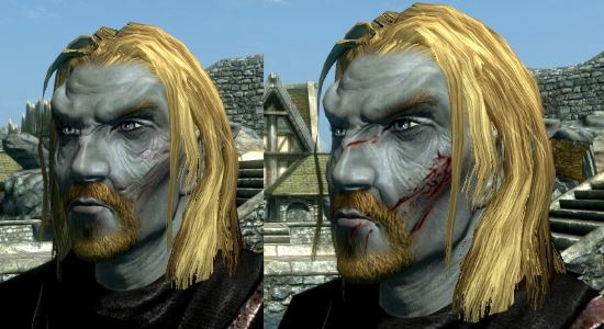 Scars / Шрамы для TES V: Skyrim