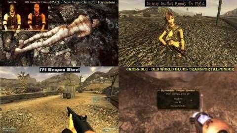 Коррекция ошибок в игре для Fallout: New Vegas