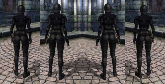Heroic Female Idle Replacer для TES IV: Oblivion