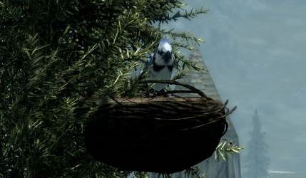 Птицы Скайрима для TES V: Skyrim