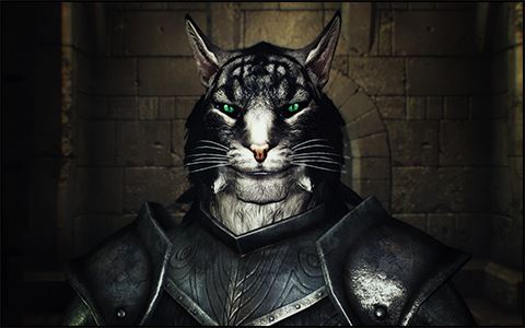 Ри'Джарр для TES V: Skyrim