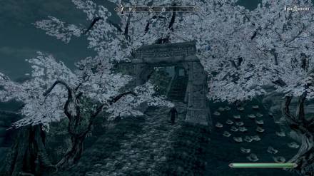 Язык Дракона для TES V: Skyrim