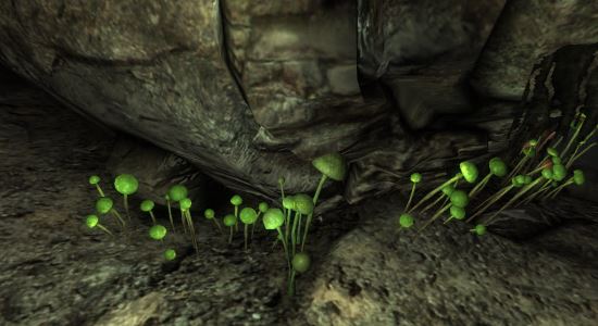 Заменитель грибов для Fallout: New Vegas