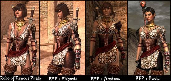 Броня Леопардовой Пиратки для Dragon Age 2