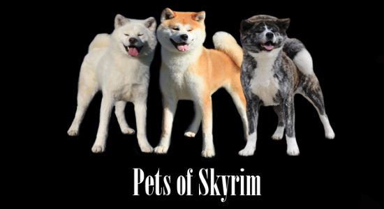 Питомцы \ Pets для TES V: Skyrim
