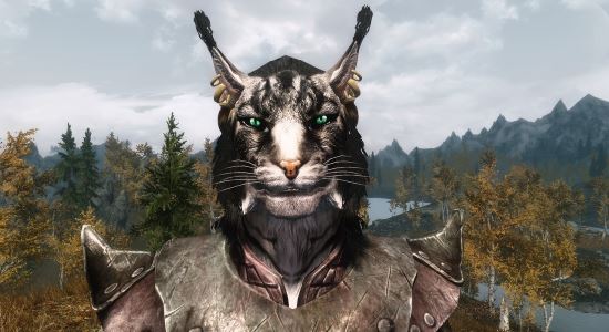 Ри'Скар для TES V: Skyrim