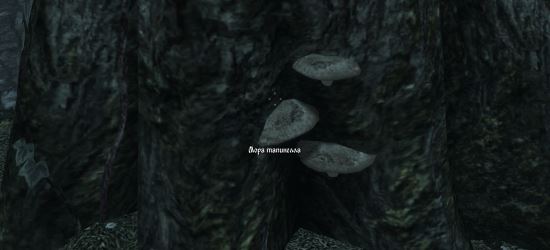 Удаление лишних надписей для TES V: Skyrim