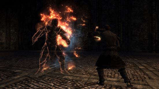 Эбенвуд для TES V: Skyrim