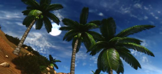Пальмы для Эльсвейра / New Elsweyr CoconutTrees для TES IV: Oblivion