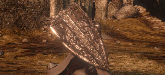Defender Shield для Dark Souls II