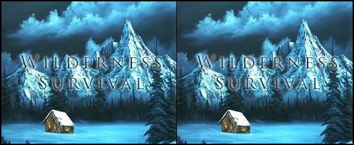 Wilderness Survival Co-oP 4.8j - PT для Warcraft 3