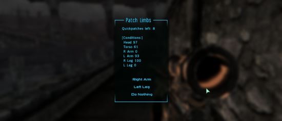 RipNo - Real Injuries and Primary Needs Patch для Fallout 3