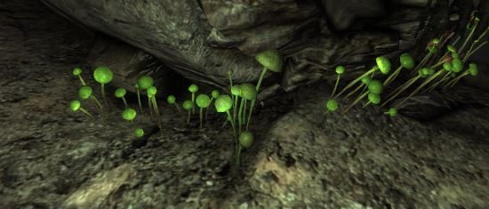 Заменитель грибов v 1.0 для Fallout: New Vegas