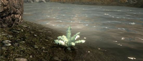 Заткнись боярышник! v 1.0 для TES V: Skyrim