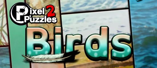 Кряк для Pixel Puzzles 2: Birds v 1.0