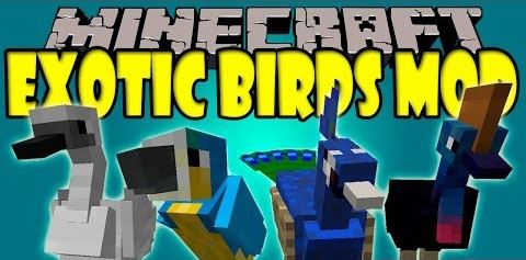 Мод Exotic Birds - Новые птицы для Minecraft 1.8