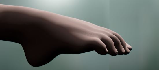 High Poly Hands and Feet for UNP bodies для TES V: Skyrim