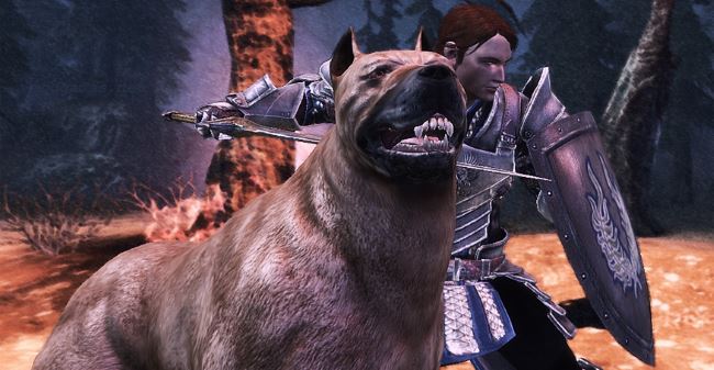Сэр Гилмор и собака в Пробуждении v 1.1 для Dragon Age: Origins